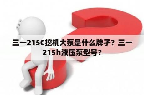 三一215C挖机大泵是什么牌孑？三一215h液压泵型号？