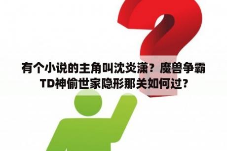 有个小说的主角叫沈炎潇？魔兽争霸TD神偷世家隐形那关如何过？