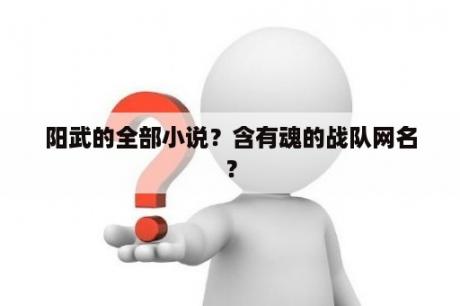 阳武的全部小说？含有魂的战队网名？