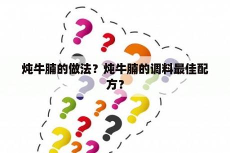 炖牛腩的做法？炖牛腩的调料最佳配方？