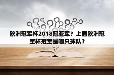 欧洲冠军杯2018冠亚军？上届欧洲冠军杯冠军是哪只球队？