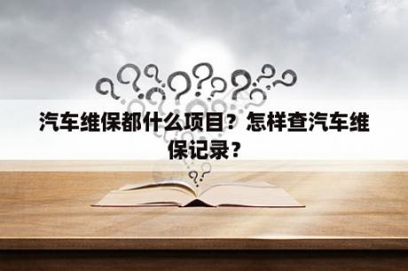 汽车维保都什么项目？怎样查汽车维保记录？