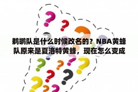 鹈鹕队是什么时候改名的？NBA黄蜂队原来是夏洛特黄蜂，现在怎么变成新奥尔良黄蜂了？