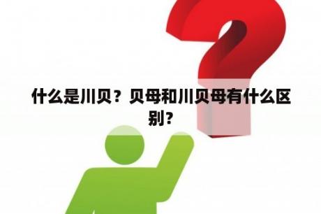 什么是川贝？贝母和川贝母有什么区别？