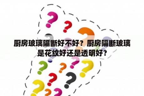 厨房玻璃隔断好不好？厨房隔断玻璃是花纹好还是透明好？