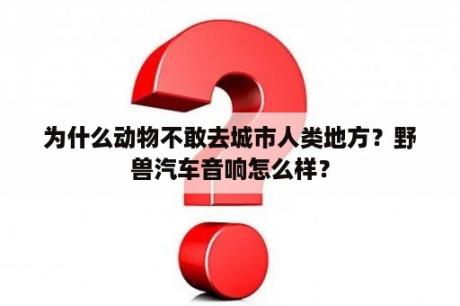 为什么动物不敢去城市人类地方？野兽汽车音响怎么样？