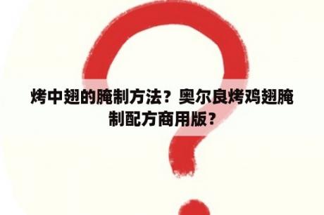 烤中翅的腌制方法？奥尔良烤鸡翅腌制配方商用版？