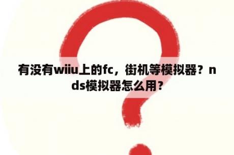 有没有wiiu上的fc，街机等模拟器？nds模拟器怎么用？