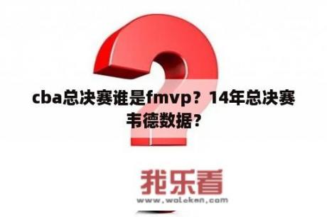 cba总决赛谁是fmvp？14年总决赛韦德数据？