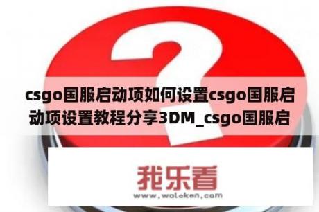 csgo国服启动项如何设置csgo国服启动项设置教程分享3DM_csgo国服启动器在哪里设置