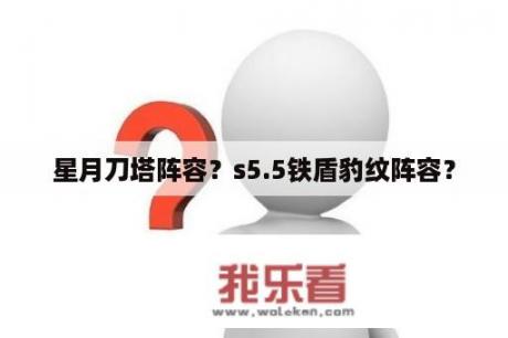 星月刀塔阵容？s5.5铁盾豹纹阵容？