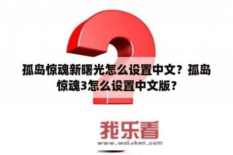 孤岛惊魂新曙光怎么设置中文？孤岛惊魂3怎么设置中文版？