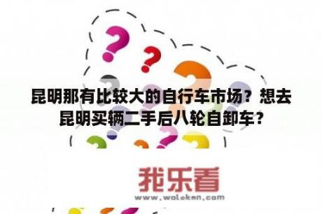 昆明那有比较大的自行车市场？想去昆明买辆二手后八轮自卸车？