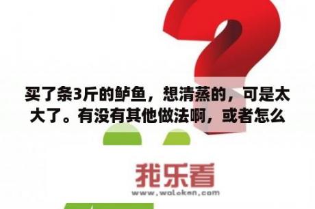 买了条3斤的鲈鱼，想清蒸的，可是太大了。有没有其他做法啊，或者怎么蒸合适啊？大海鱼怎么做好吃，海水鱼一般怎么做好吃？