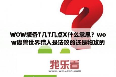 WOW装备T几T几点X什么意思？wow魔兽世界猎人是法攻的还是物攻的？