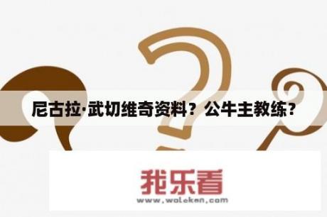 尼古拉·武切维奇资料？公牛主教练？