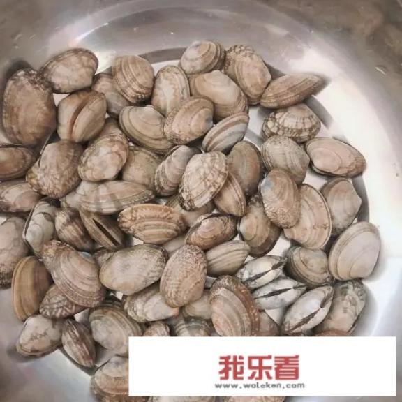 在家做花甲怎么炒才好吃？爆炒花甲怎么做？