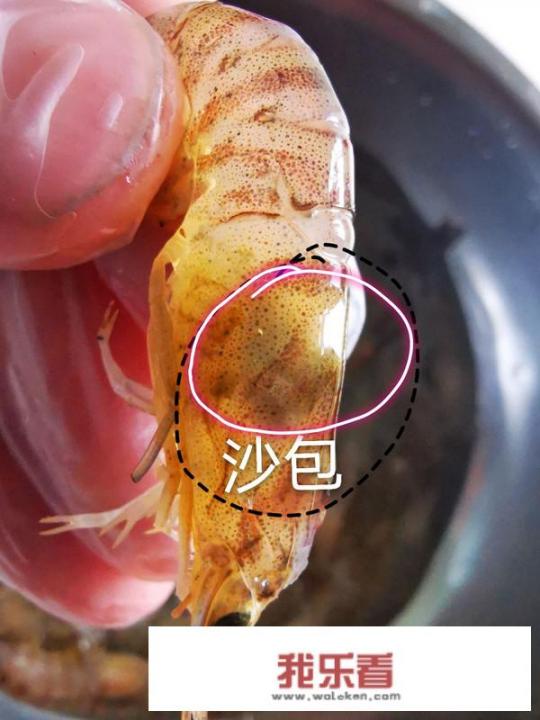 厨师王刚做菜视频红焖虾？王刚美食视频香辣虾？