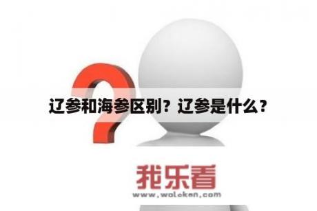 辽参和海参区别？辽参是什么？