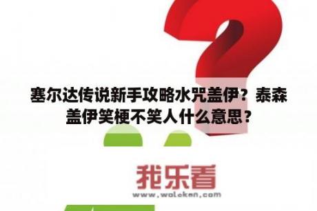 塞尔达传说新手攻略水咒盖伊？泰森盖伊笑梗不笑人什么意思？