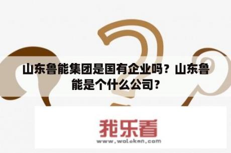 山东鲁能集团是国有企业吗？山东鲁能是个什么公司？