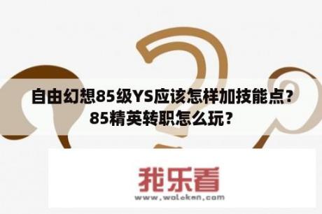 自由幻想85级YS应该怎样加技能点？85精英转职怎么玩？