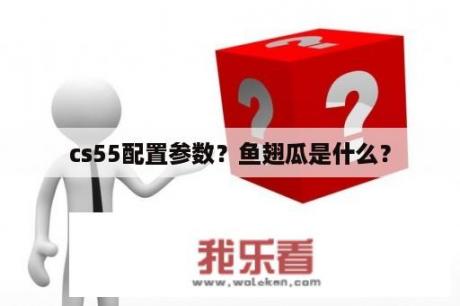 cs55配置参数？鱼翅瓜是什么？