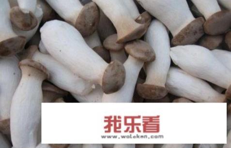 能吃的蘑菇图片和名字？所有蘑菇的图片和名字？