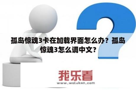 孤岛惊魂3卡在加载界面怎么办？孤岛惊魂3怎么调中文？