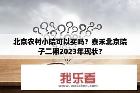 北京农村小院可以买吗？泰禾北京院子二期2023年现状？