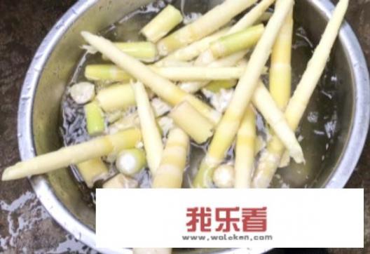 新鲜竹笋要怎么处理才能长期保存？新鲜竹笋保养方法？