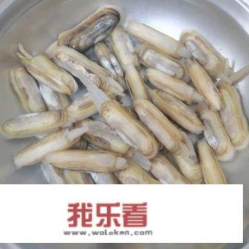 广东爆炒蛏子正宗做法？炒蛏子的做法？