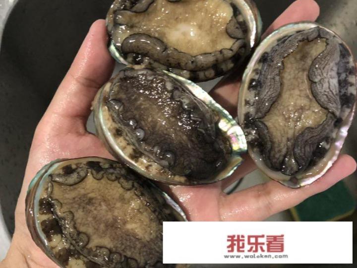 鲍鱼汤的做法？清炖鲍鱼汤正宗做法？