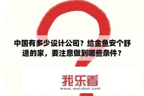 中国有多少设计公司？给金鱼安个舒适的家，要注意做到哪些条件？