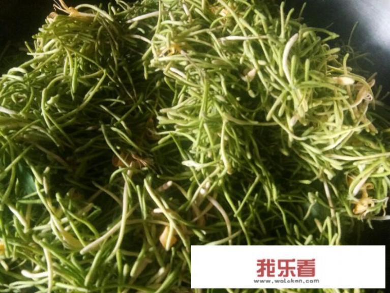 金银花茶是怎么做的？金银花茶可以泡多久？