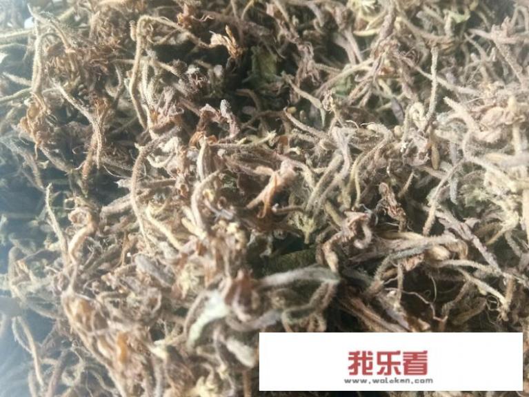 金银花茶是怎么做的？金银花茶可以泡多久？