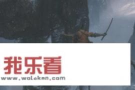 影子武士有中文吗？只狼：影逝二度如何使用钩绳？