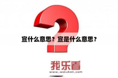 宣什么意思？宣是什么意思？