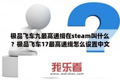 极品飞车九最高通缉在steam叫什么？极品飞车17最高通缉怎么设置中文？