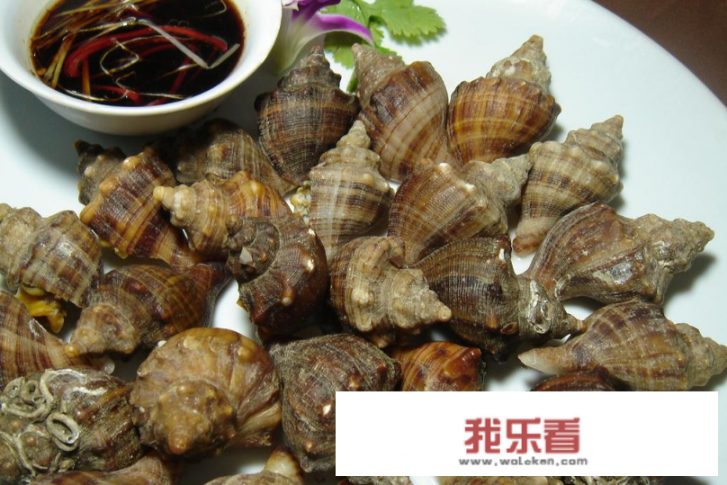 海螺的食法哪个部位不能食？海螺什么地方不能要？