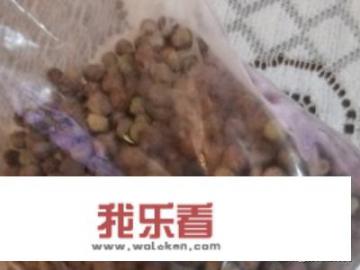 发豌豆最简单的方法？水发豌豆苗的方法？