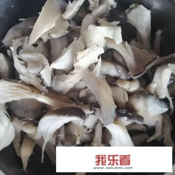 油炸平菇家常做法？炸平蘑菇的家常做法？