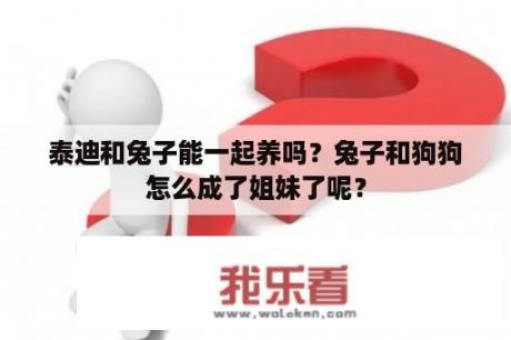 泰迪和兔子能一起养吗？兔子和狗狗怎么成了姐妹了呢？