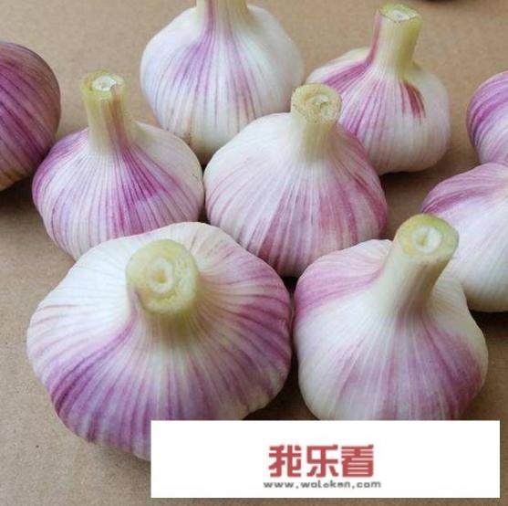 大蒜不加糖怎么腌制？蒜腌粉制造方法？