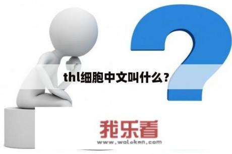 thl细胞中文叫什么？