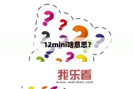 12mini啥意思？