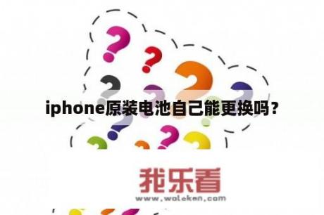 iphone原装电池自己能更换吗？