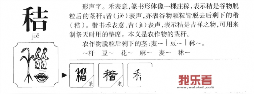 秸能拆多少字？