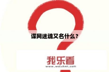 谍网迷魂又名什么？