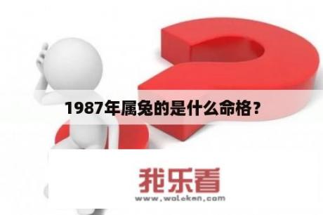 1987年属兔的是什么命格？